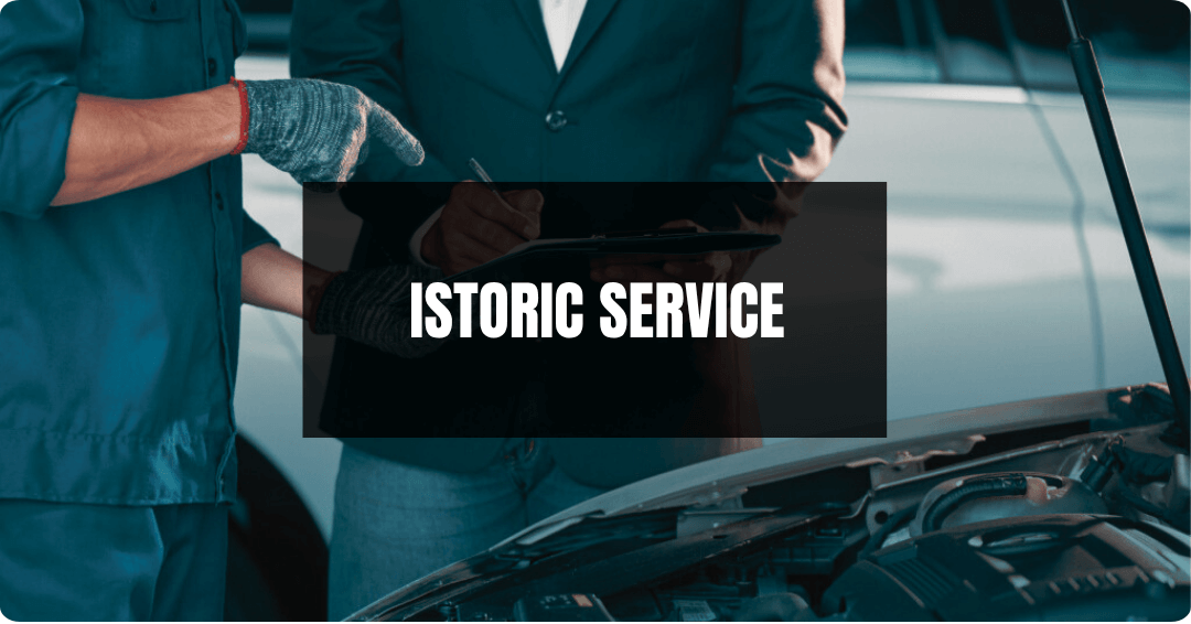 verificare istoric service